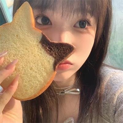 动画纪实